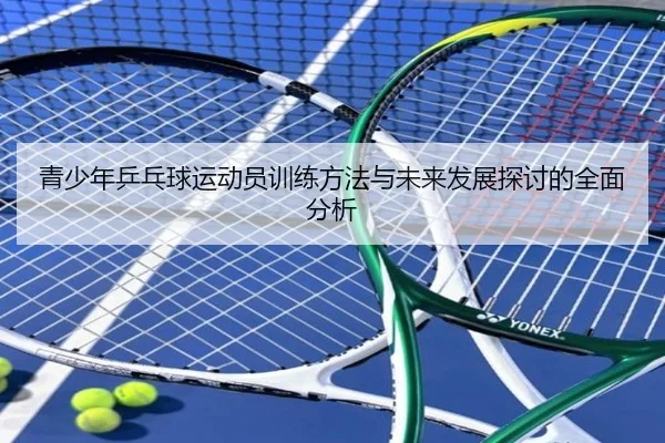 青少年乒乓球运动员训练方法与未来发展探讨的全面分析